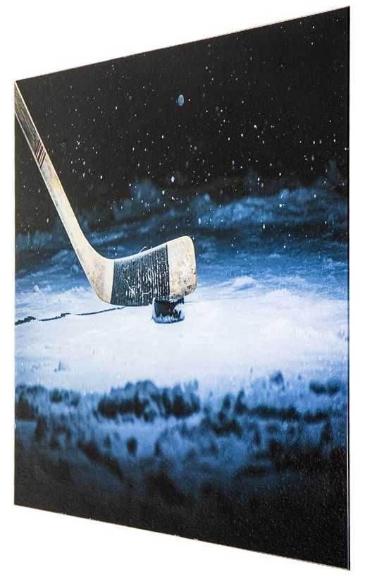YHD Slapshot Wall Art-2