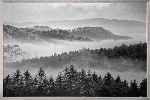 Classy Living Classic Black and White Misty Forest Wall Art-0