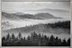 Classy Living Classic Black and White Misty Forest Wall Art-0