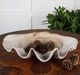 Uttermost® Antique White Clam Shell Bowl-2