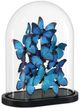 Currey & Company Rue de Bac Blue Large Butterflies-1