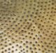 Zuo® Modern Larache Gold Coffee Table-4