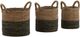 Dovetail Furniture Withers 3-Piece Green Basket Set-0