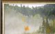 Stylecraft Misty Isle Black/Brown/Gray/Green/Light Gray Wall Art -2