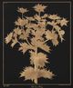 Stylecraft Sea Holly Black/Gold Wall Art-1