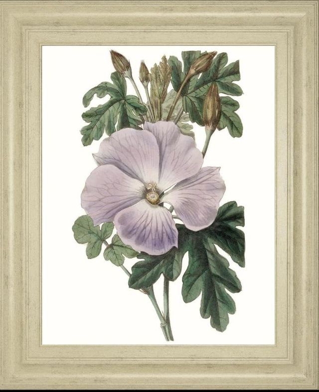 Classy Art Lavender Beauties I by Edwards Wall Art-0