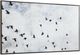 Renwil® Everren Paz Wall Art-2