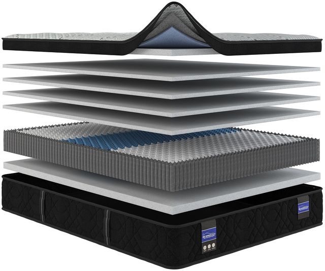 Spring Air® Back Supporter Hannah 13" Hybrid Plush Euro Top King Mattress-2