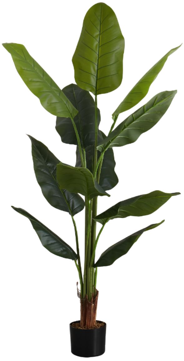 Monarch Specialties Inc. Green/Black 59" Artificial Potted Strelitzia Tree-0