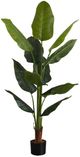 Monarch Specialties Inc. Green/Black 59" Artificial Potted Strelitzia Tree-0