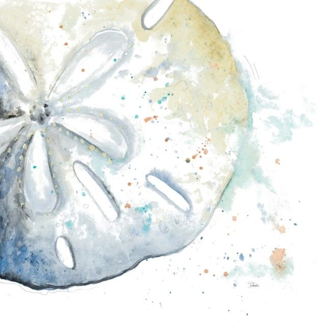 Classy Art Water Sand Dollar by Patricia Pinto Wall Art-0