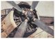 YHD Iron Bird Wall Art-0