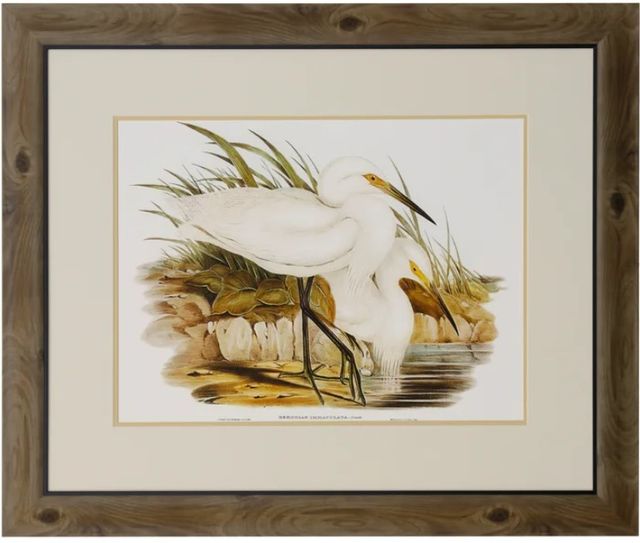 Stylecraft Waterbird Pairing I Beige/Brown/Green/Yellow Wall Art-0