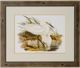 Stylecraft Waterbird Pairing I Beige/Brown/Green/Yellow Wall Art-0