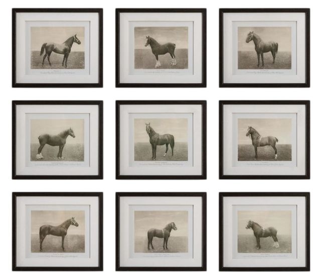 Uttermost® Equine Dynasty 9-Piece Framed Print Set-0