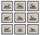 Uttermost® Equine Dynasty 9-Piece Framed Print Set-0