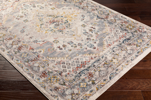 Surya Ankara Multi-Colored 5'x7' Area Rug-4