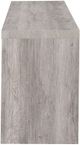 Coaster® Burke Grey Driftwood 2-Drawer TV Console-4