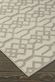 Signature Design by Ashley® Coulee Natural 5'x7' Medium Area Rug-1