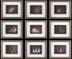 Uttermost® Marian Parsons 9-Piece Resting Bunny Framed Prints Set-0