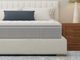 Wynburn Firm Queen Mattress-0