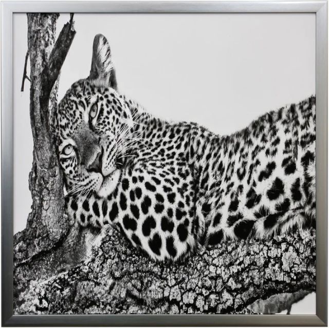 Stylecraft Dann Folely Lifestyle Time to Rest Black/Gray Wall Art-0