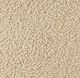 HiEnd Accents Teddy Cream Throw Blanket-1