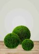 Le Present Grass Lime Green Faux Botanical Ball-3