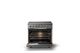 Viking® 5 Series 36" Stainless Steel Pro Style Induction Range with Brushed Brass Trim-1