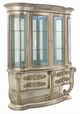 ACME Furniture Danae Champagne/Gold 93" Curio-0