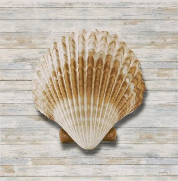 Stylecraft Seashells lV Framed Print-1