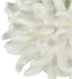 A & B Home White Swaying Coral Decorative Object-2