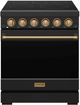 Thor Kitchen 30" Black Pro Style Electric Range with Precision Knob Control & Bronze Hardware-0
