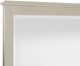 Mazin Furniture Juliette Champagne Mirror-2