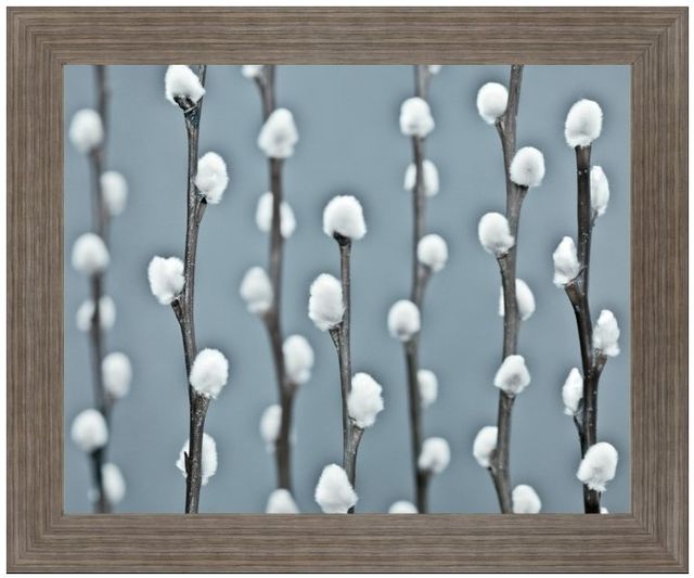 Classy Living Winter Willow Wall Art-0
