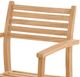 Dovetail Furniture Verdant Natural Wooden Outdoor Dining Chair-4