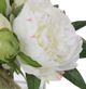 Uttermost® Garden Peony Green/White Bouquet-3