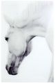YHD Nature's Beauty I Wall Art-0