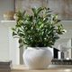 Uttermost® Elena Olive Green/White Centerpiece-1
