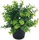 A & B Home Greenery with Pot-1