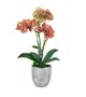 A & B Home Orange/White Real Touch Phalaenopsis Orchid Plant with Ceramic-0