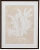 Bassett Mirror Ptilota Plumosa Framed Print Wall Art-0