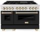 ZLINE Autograph Edition 48" Satin Stainless Steel Pro Style Dual Fuel Range with Black Matte Door-0