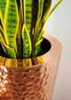 Le Present Coppa Martello Hammered Copper 36" Planter-4