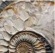 Stylecraft Plaster Dreams II Wall Art-1