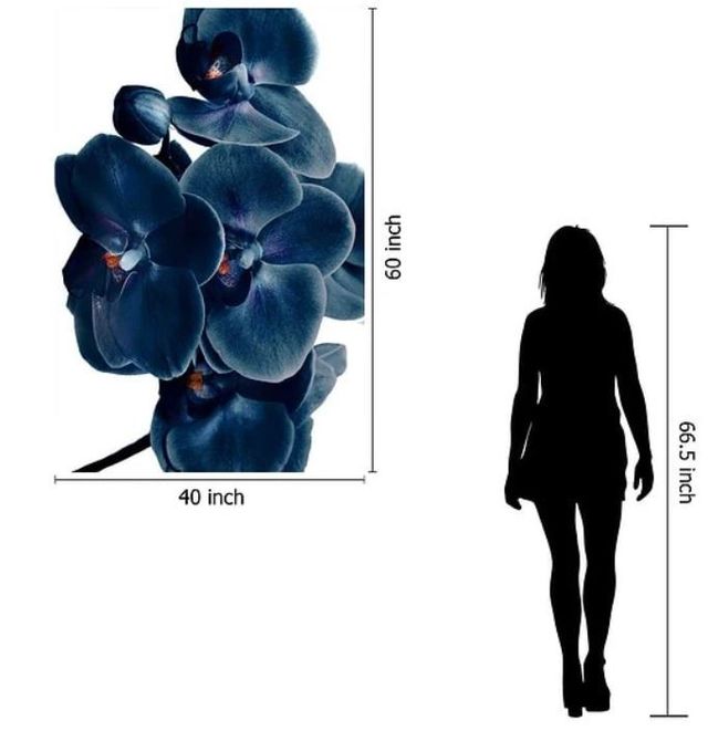 Classy Art Orchid Wall Art-2
