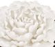 A & B Home Cream Wall Decor-3