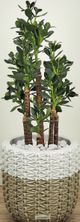Le Present 31.5" Artificial Jade Green Plant-4