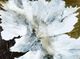 Stylecraft Satin and Silk Black/Gold/White Wall Art-1