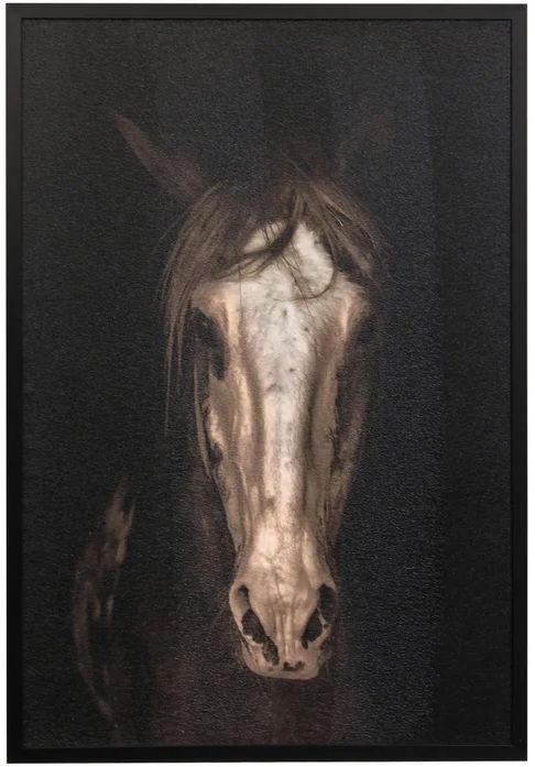 Stylecraft Strong Stallion II Wall Art-0